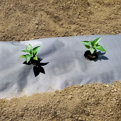 Planters Paper® Mulch