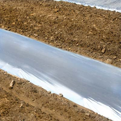 Metallic Plastic Mulch