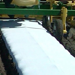 White on Black Plastic Mulch
