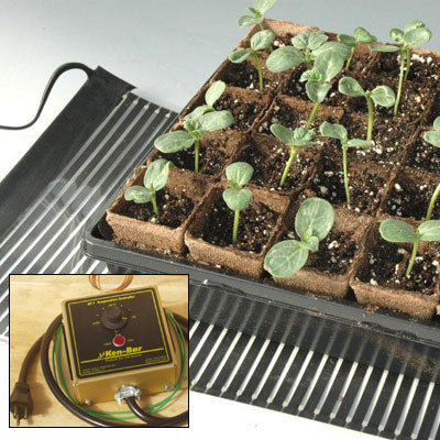 small plants shown on a Thermostat Heat Mat