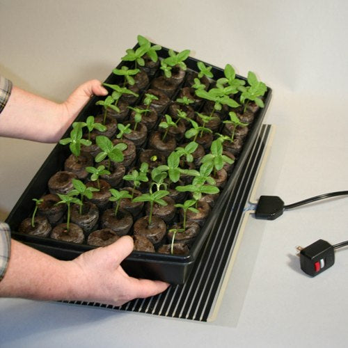Getting Started with Seed Tray Heaters for Germination