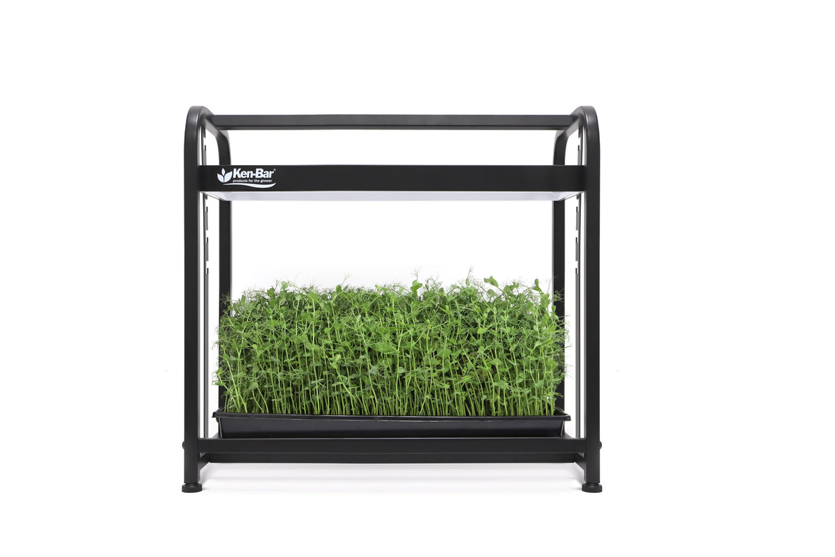 Ken-Bar One Tray Light Stand