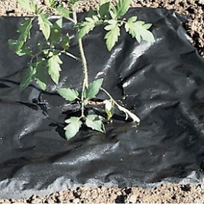 Planters Paper® Mulch