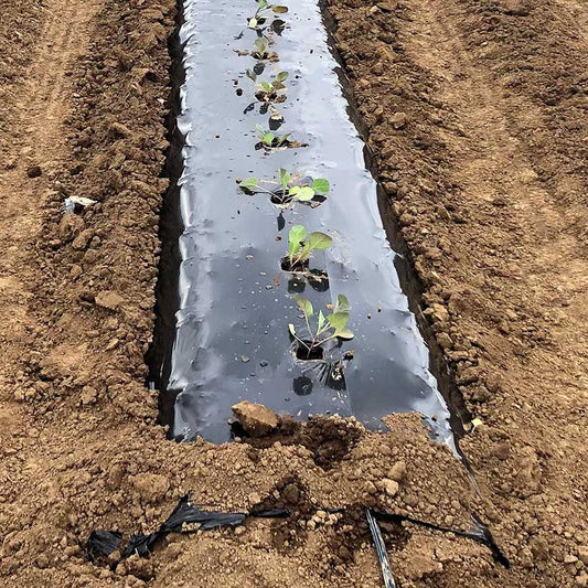 Biodegradable Plastic Mulch