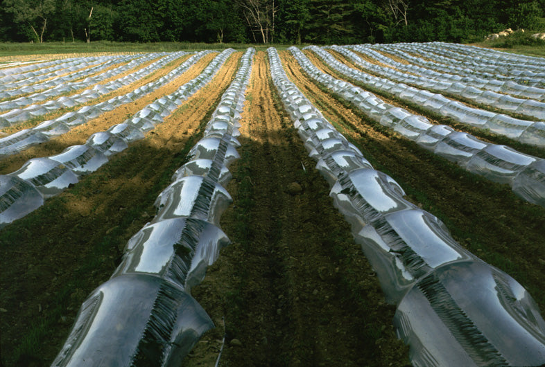 Standard Row Cover – Ken-Bar